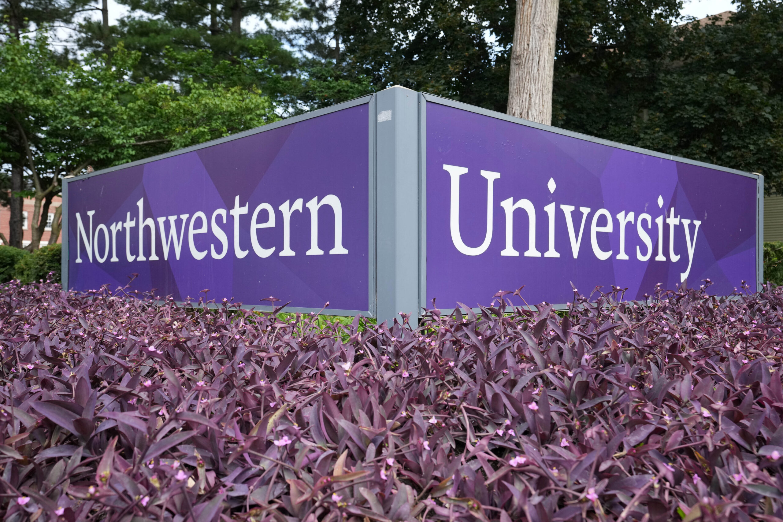 Northwestern University